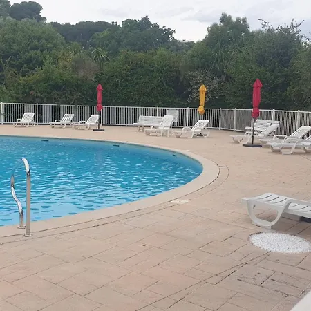 Magnifique אנטיב