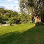 Magnifique