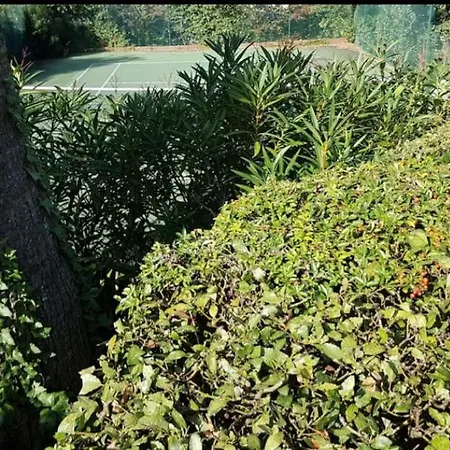 Lägenhet Magnifique