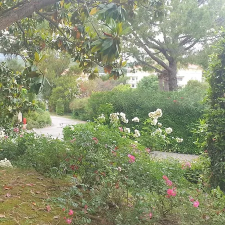 Magnifique Appartement Antibes