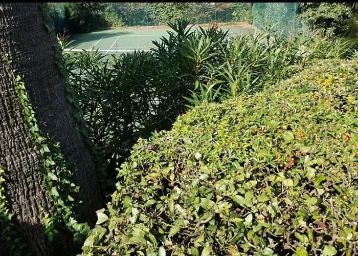 Apartment Magnifique